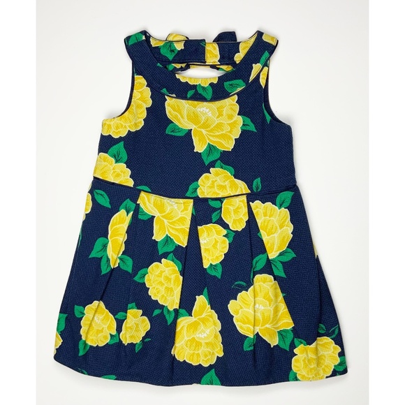 EUC JANIE & JACK DRESS SIZE 12-18 MONTHS - Picture 1 of 3
